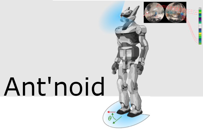 Ant'noid - Ant'noid: ant visual memory for humanoid robot autonomous navigation